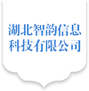 湖北智韵信息科技有限公司